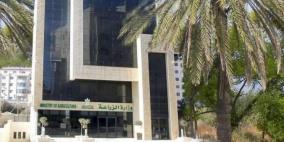 وزارة الزراعة تصدر نشرة توعوية حول موعد القطف الأمثل لثمار الزيتون