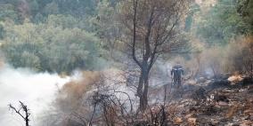 بالصور: ارتفاع عدد ضحايا حرائق الغابات في الجزائر إلى 38