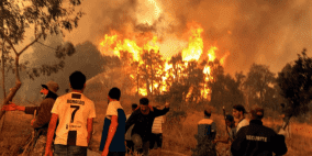 ارتفاع حصيلة ضحايا حرائق الجزائر