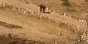فيديو: الاحتلال يعتقل  شابا بعد إصابته في قرية سالم شرق نابلس