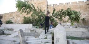 صور: انطلاق حملة تطوعية لتنظيف مقابر القدس