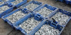 صحيفة عبرية: قرار إسرائيلي بحظر تصدير الأسماك من غزة إلى الضفة