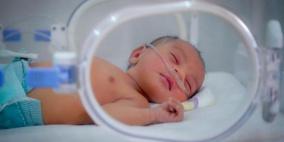قطاع غزة يسجل ما يزيد عن 4 آلاف مولود جديد