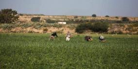 الاحتلال يستهدف المزارعين شرق خانيونس بالرصاص وقنابل الغاز