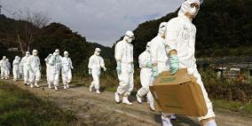 ذبح نحو 10 مليون طائر في اليابان لمواجهة انفلونزا الطيور