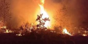 ارتفاع حصيلة ضحايا حرائق الغابات في تشيلي إلى 23