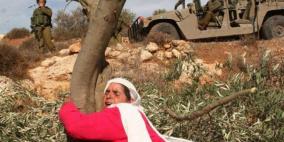 الاحتلال يقتلع ويحطم أشجار ويهدم وحدة صحية وبئر مياه جنوب الخليل