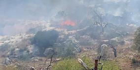 شاهد: مستوطنون يحرقون محاصيل زراعية في ترمسعيا شمال رام الله