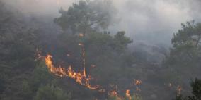 اليونان تجلي عشرات الآلاف من جزيرة رودس بسبب الحرائق