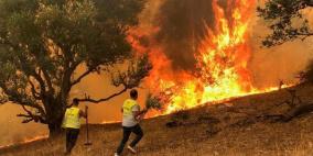 مصرع 15 شخصا وإصابة آخرين في حرائق غابات شمال الجزائر
