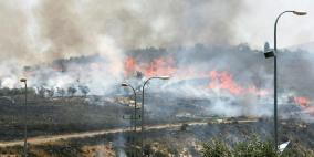 مستوطنون يحرقون عشرات أشجار الزيتون في بورين