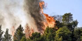 ارتفاع حصيلة ضحايا حرائق الغابات في اليونان إلى 20 قتيلا