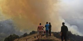 تجدد حرائق الغابات شرق الجزائر