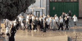 مستوطنون بحماية الاحتلال يقتحمون المسجد الأقصى