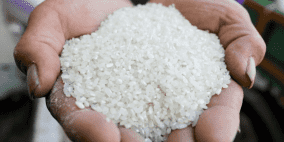 "الفاو": سعر الأرز يسجل أعلى مستوياته منذ 13عاما