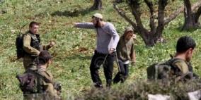 مستوطنون يهاجمون قاطفي الزيتون في قرية برقة شمال غرب نابلس