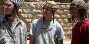 مستوطنون يردمون 3 آبار مياه ويقطعون 70 شتلة زيتون جنوب الخليل