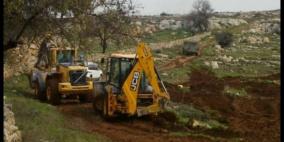 مستوطنون يجرفون أراضي ويقتلعون أشجار الزيتون غرب نابلس