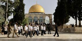 بحماية قوات الاحتلال مستوطنون  يقتحمون "الأقصى"