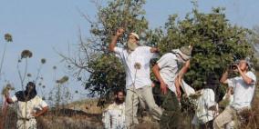 مستوطنون يعتدون على مواطنين بمسافر يطا جنوب الخليل