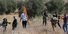 الاحتلال يطلق الرصاص تجاه قاطفي الزيتون في قرية زبوبا غرب جنين