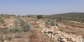سلفيت: الاحتلال يقتلع أشجار زيتون ويواصل تجريف مئات الدونمات في فرخة