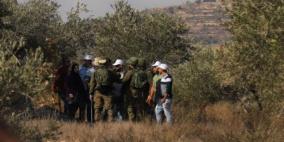الاحتلال يعتدي على قاطفي الزيتون في قرية واد فوكين غرب بيت لحم