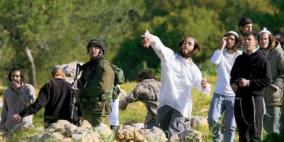 مستوطنون يستولون على منتزه في بلدة قريوت جنوب نابلس