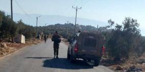 نابلس: الاحتلال يجبر قاطفي الزيتون في دوما على مغادرة أراضيهم