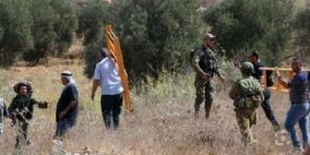 الاحتلال يصيب مواطنين بالاختناق ويمنع آخرين من قطف ثمار الزيتون في بلدة تقوع جنوب شرق بيت لحم
