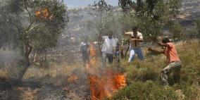 مستوطنون يحرقون أراض زراعية في قريوت جنوب نابلس