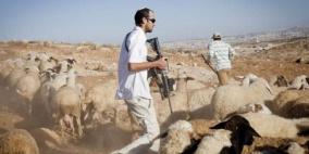 مستوطنون يعتدون على مواطن بالضرب ويهاجمون رعاة أغنام في دير بلوط غرب سلفيت