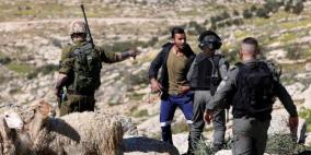 مستوطنون يسرقون أغناما من قصرة جنوب نابلس