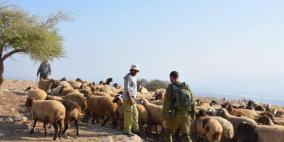 الاحتلال يستهدف الرعاة والمزارعين في قرية الجوايا شرق يطا