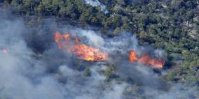 كولومبيا: حرائق الغابات أتت على أكثر من 17 ألف هكتار