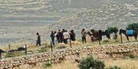 مستوطنون يحتجزون مزارعين في نحالين غرب بيت لحم
