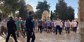 في ذكرى احتلال القدس: 1601 مستوطنا اقتحموا الأقصى وسط اعتداءات واعتقالات
