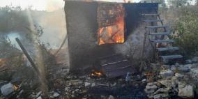 مستوطنون يحرقون حظيرتي أغنام في شمال غرب أريحا