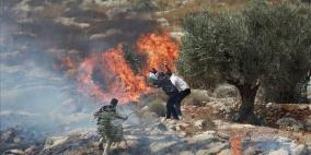 الدفاع المدني لراية: 219 حريقًا بفعل اعتداءات المستوطنين.. وفرق متطوعين تتصدى في الميدان