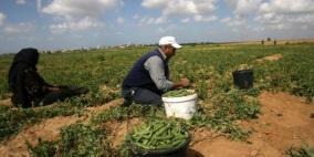 الصناعةُ الخضراءُ: مدخلٌ للعدالةِ البيئيةِ في فلسطين