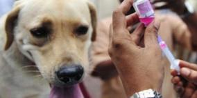 خاص| "داء الكلب".. حالة في الجلزون تثير المخاوف ودعوات للوقاية