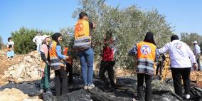 صور| انطلاق حملة قطف الزيتون 2025 في بيرزيت بمشاركة واسعة محلية ودولية