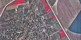 الاحتلال يصدر أمراً عسكرياً بإزالة الأشجار على مساحة 59 دونماً من محافظة جنين