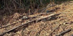 مستوطنون يقطعون خطوط ناقلة للمياه في الأغوار الشمالية 