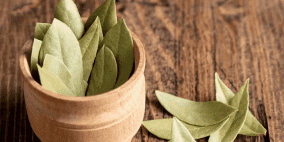 كيف تعزّز أوراق الغار نضارة البشرة وشبابها؟