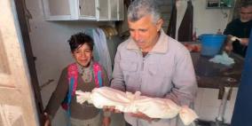 وفاة رضيع في دير البلح بسبب البرد القارس