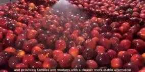 تركيب 16 جهاز هاضم حيوي في شركات الصناعات الغذائية بمحافظة طوباس