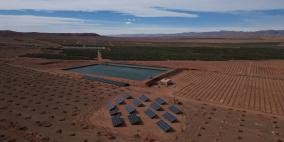 "النبالي والفارس" تعلن عن إطلاق مشروعها الاستثماري الزراعي “تالا” في المغرب