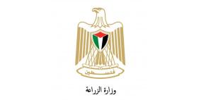 الزراعة تؤكد رفضها القاطع للادعاءات الإسرائيلية بشأن تلوث الخضروات الفلسطينية المصدّرة ببقايا مبيدات