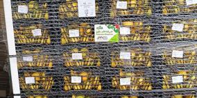 الزراعة: إعفاء الصادرات الزراعية الفلسطينية من الرسوم والغرامات على جسر الملك حسين